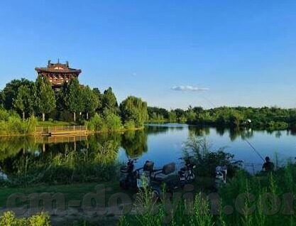 成人高清视频在线观看-成人高清视频在线观看，理性审视与安全使用指南