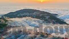 大象依甸圆短视频-短视频新潮流，大象依甸圆——网络文化的奇妙探索