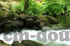 国产成人欧美一区二区三区-国产成人欧美一区二区三区，文化与市场的交汇