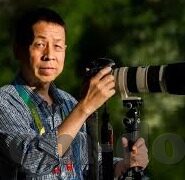 极品人妻系列-极品人妻的魅力，爱与责任的完美诠释