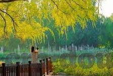 伦理电视免费收看-伦理电视，免费收看的时代与挑战
