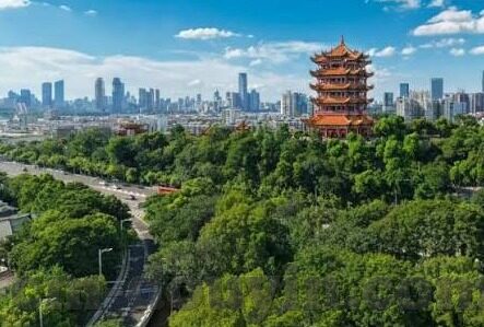 麻豆国产成人av在线-麻豆国产成人AV在线，理性剖析与网络道德
