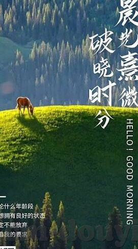 麻豆视频播放器-探索麻豆视频播放器，从技术革新到用户体验的全面剖析