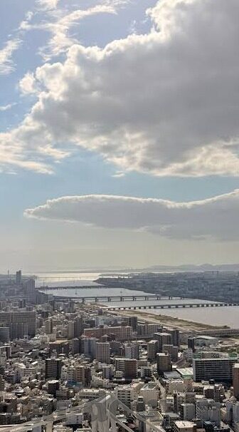麻豆文化传媒网站入口-透析网络文化的边缘景象，麻豆文化传媒网站入口的背后