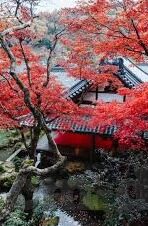 日韩av综合在线观看-日韩影视内容欣赏与文化交流的多元视角