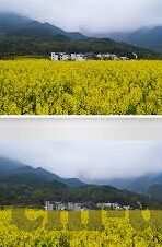 糖心app平台下载-解锁娱乐新境界，糖心APP平台下载指南
