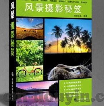 小野寺梨纱中文字幕在线-探索小野寺梨纱的魅力，中文字幕下的艺术之旅