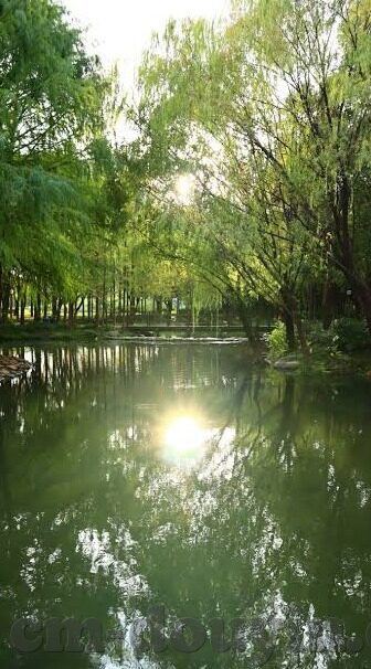 亚洲av日韩av中日aⅴ-亚洲与日韩AV文化，跨地域的视觉艺术探索